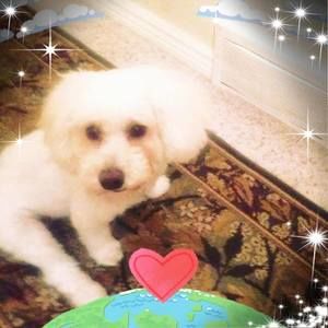 Meet your Posher, Deborah